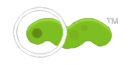 Space Worm